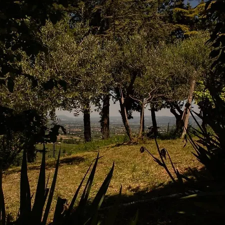 ヴィラ Della Umbria モンテファルコ