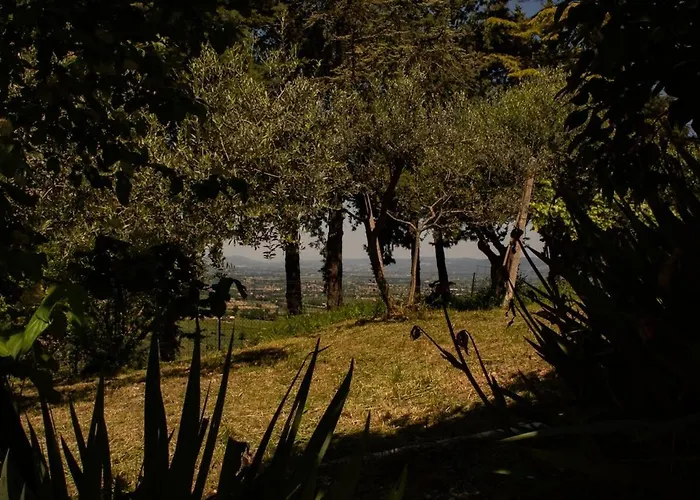 Villa Della Umbria Montefalco