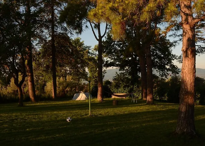 Della Umbria Montefalco