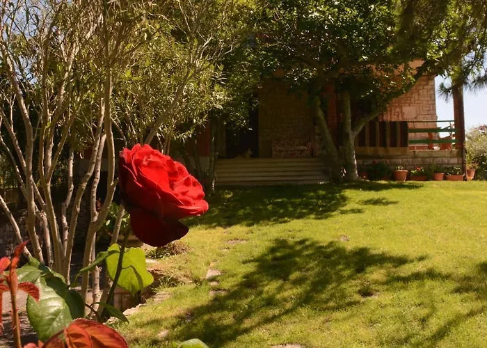 Della Umbria * Montefalco